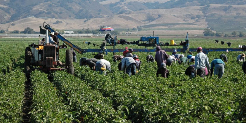 Spania caută lucrători sezonieri români pentru următoarele campanii agricole