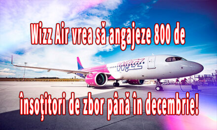 Wizz Air vrea să angajeze 800 de însoțitori de zbor până în decembrie! Unde și când au loc interviurile