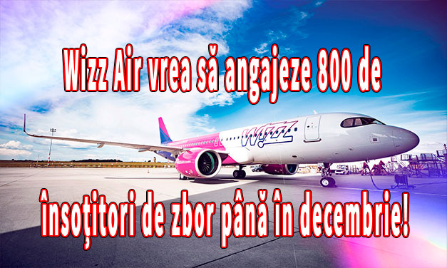 Wizz Air vrea să angajeze 800 de însoțitori de zbor până în decembrie!